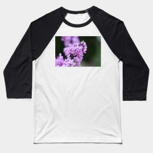 Red Bud Flowers Baseball T-Shirt